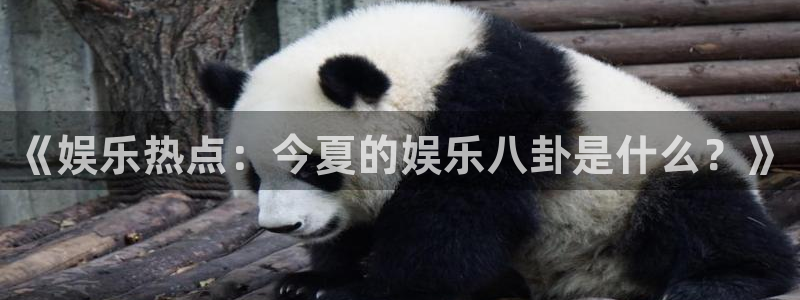 《娱乐热点：今夏的娱乐八卦是什么？》