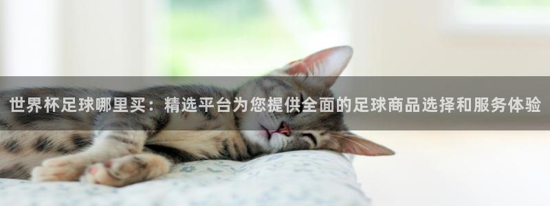 世界杯足球哪里买：精选平台为您提供全面的足球商品选择和服务体验