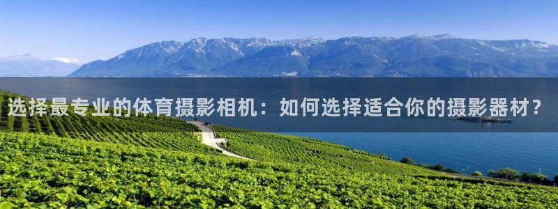 选择最专业的体育摄影相机：如何选择适合你的摄影器材？