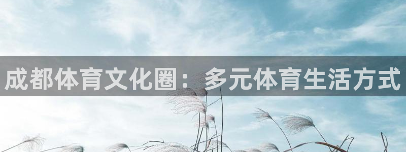 成都体育文化圈：多元体育生活方式