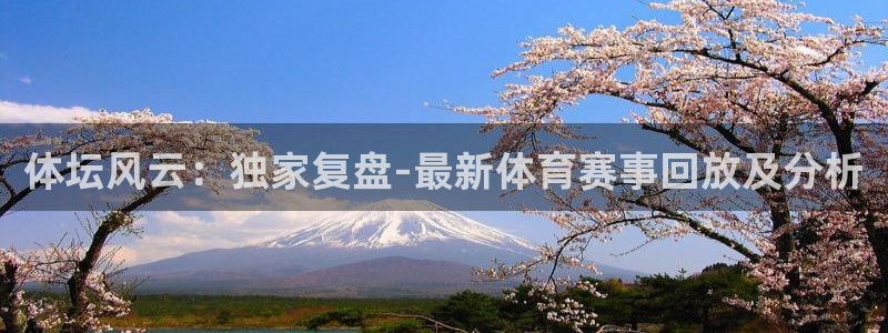 体坛风云：独家复盘-最新体育赛事回放及分析