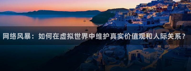 网络风暴：如何在虚拟世界中维护真实价值观和人际关系？