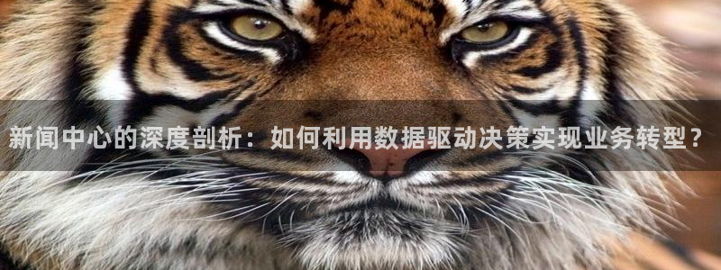 新闻中心的深度剖析：如何利用数据驱动决策实现业务转型？