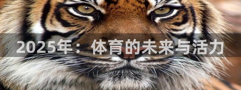 2025年：体育的未来与活力