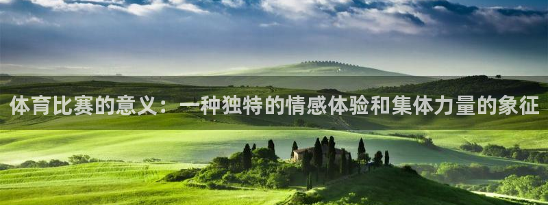 体育比赛的意义：一种独特的情感体验和集体力量的象征