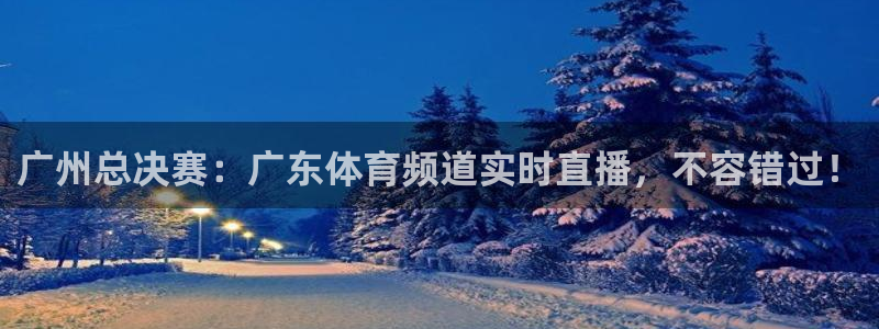 广州总决赛：广东体育频道实时直播，不容错过！
