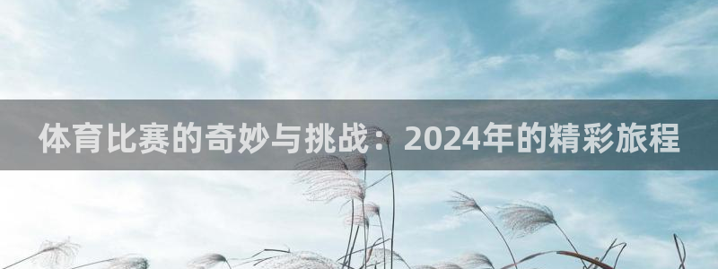 体育比赛的奇妙与挑战：2024年的精彩旅程
