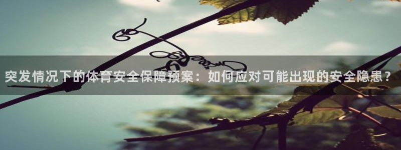 突发情况下的体育安全保障预案：如何应对可能出现的安全隐患？