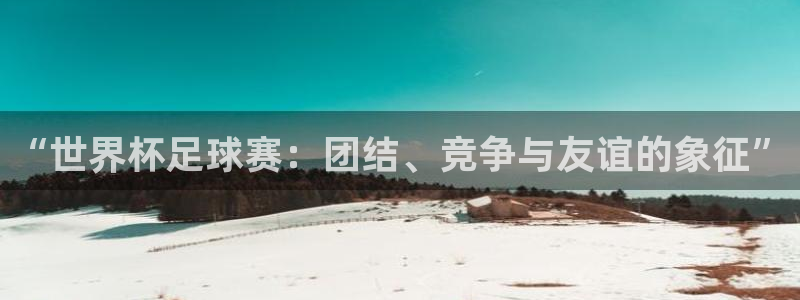 “世界杯足球赛：团结、竞争与友谊的象征”