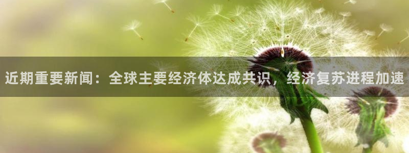 近期重要新闻:全球主要经济体达成共识,经济复苏进程加速